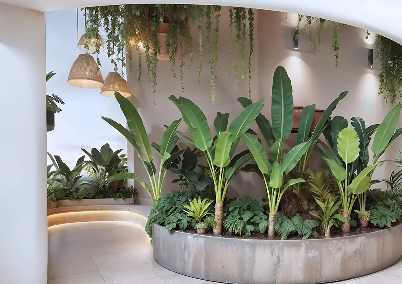 Zolea apartasuites interior - Apartamentos campestres en el quindio v2 - 2